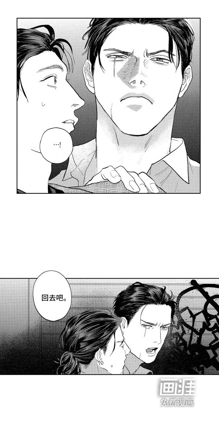 第16章：带回家