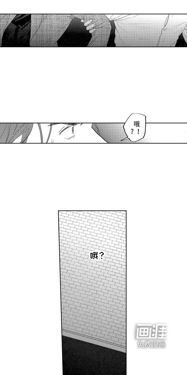 第16章：带回家