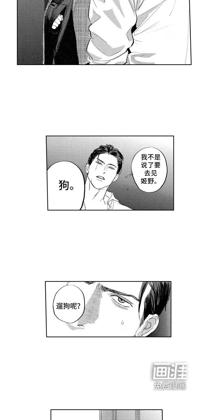 第16章：带回家