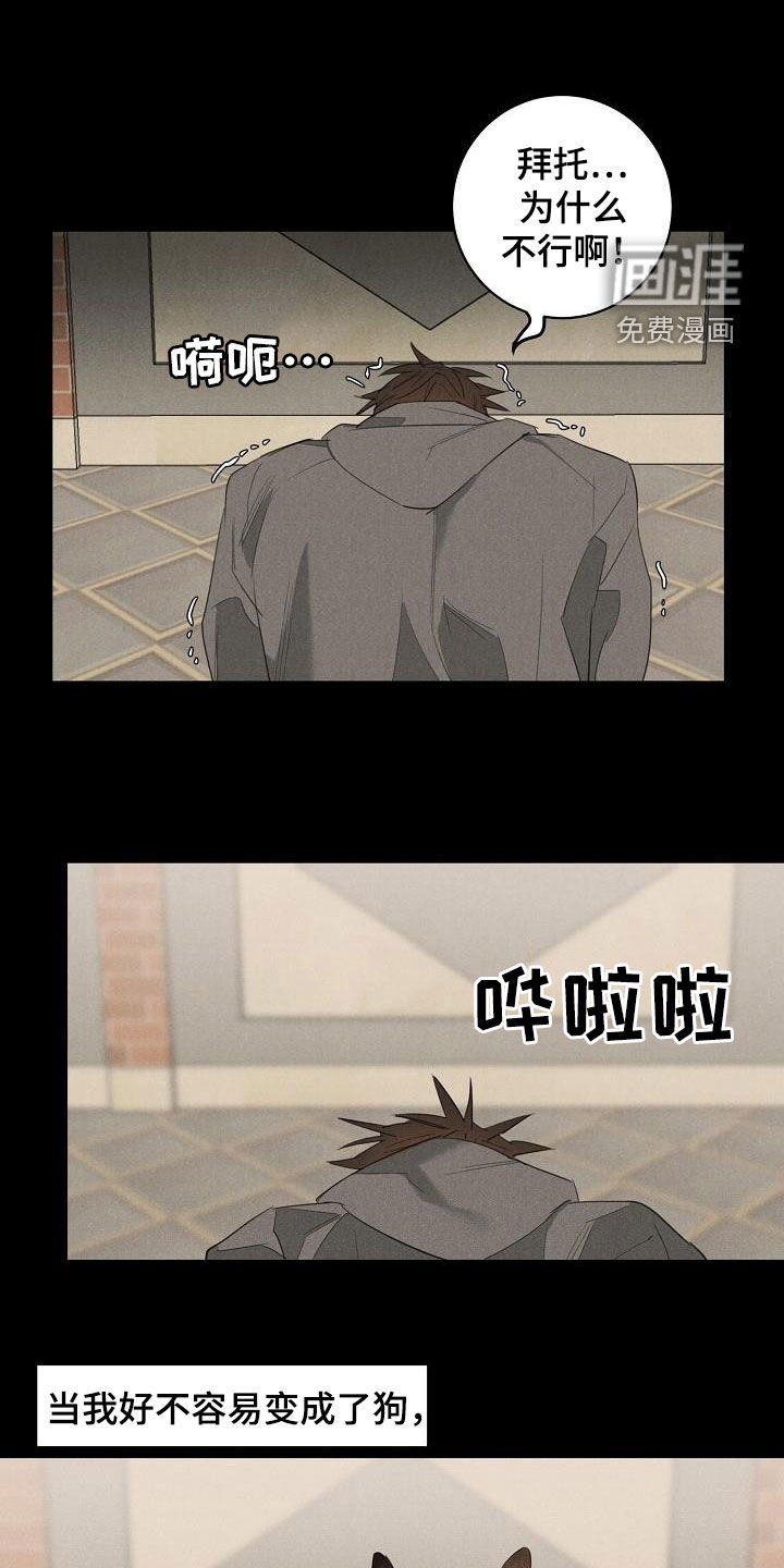 第14章：放松警惕