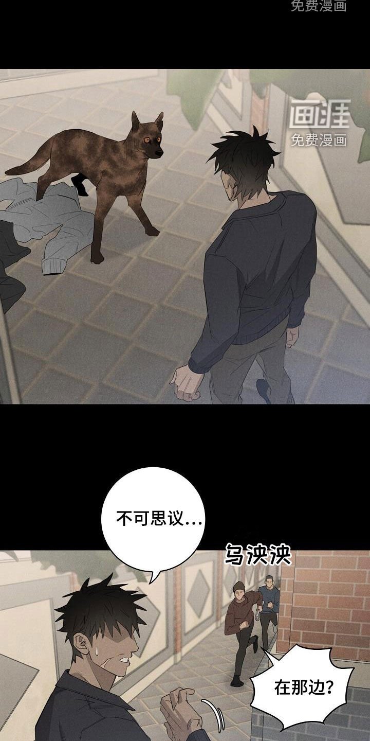 第14章：放松警惕