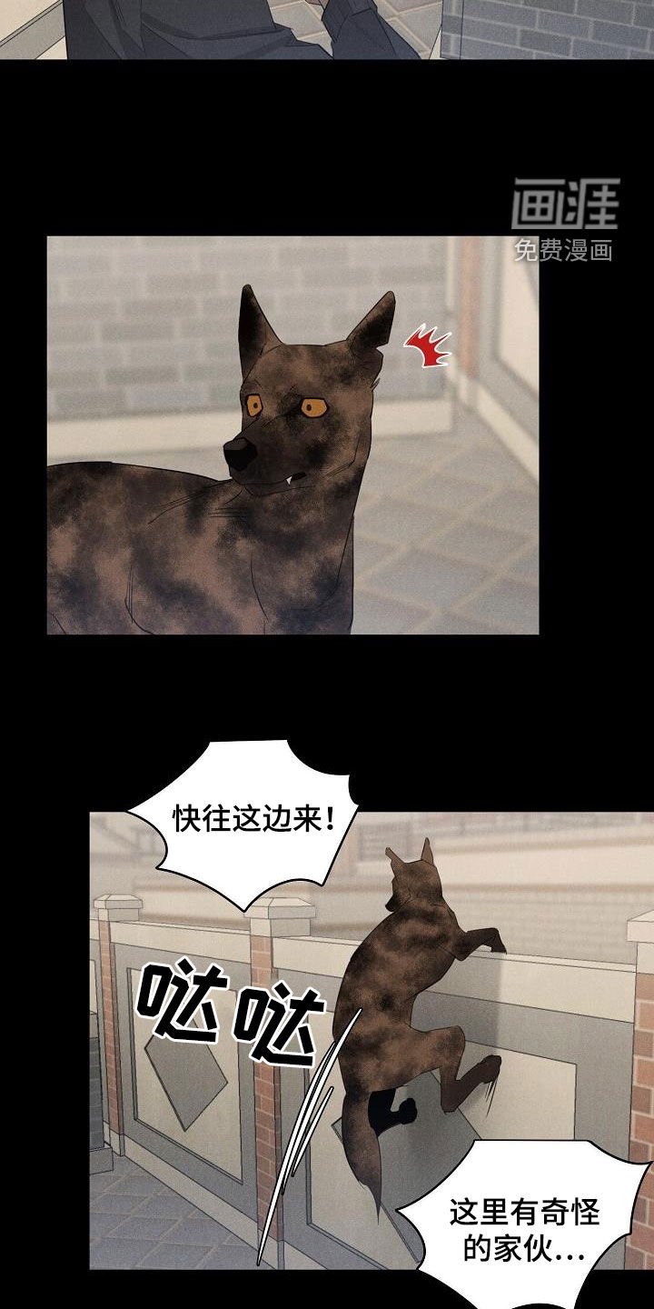 第14章：放松警惕