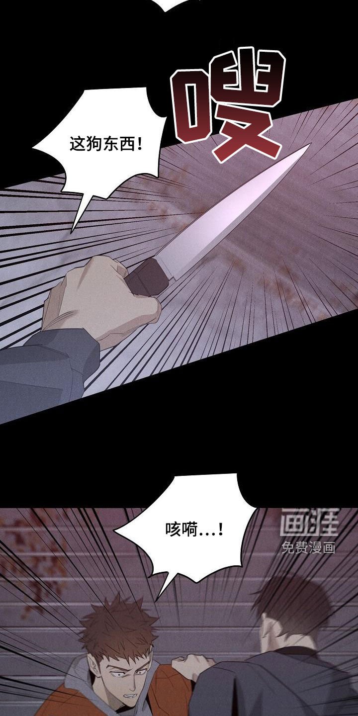 第15章：相片