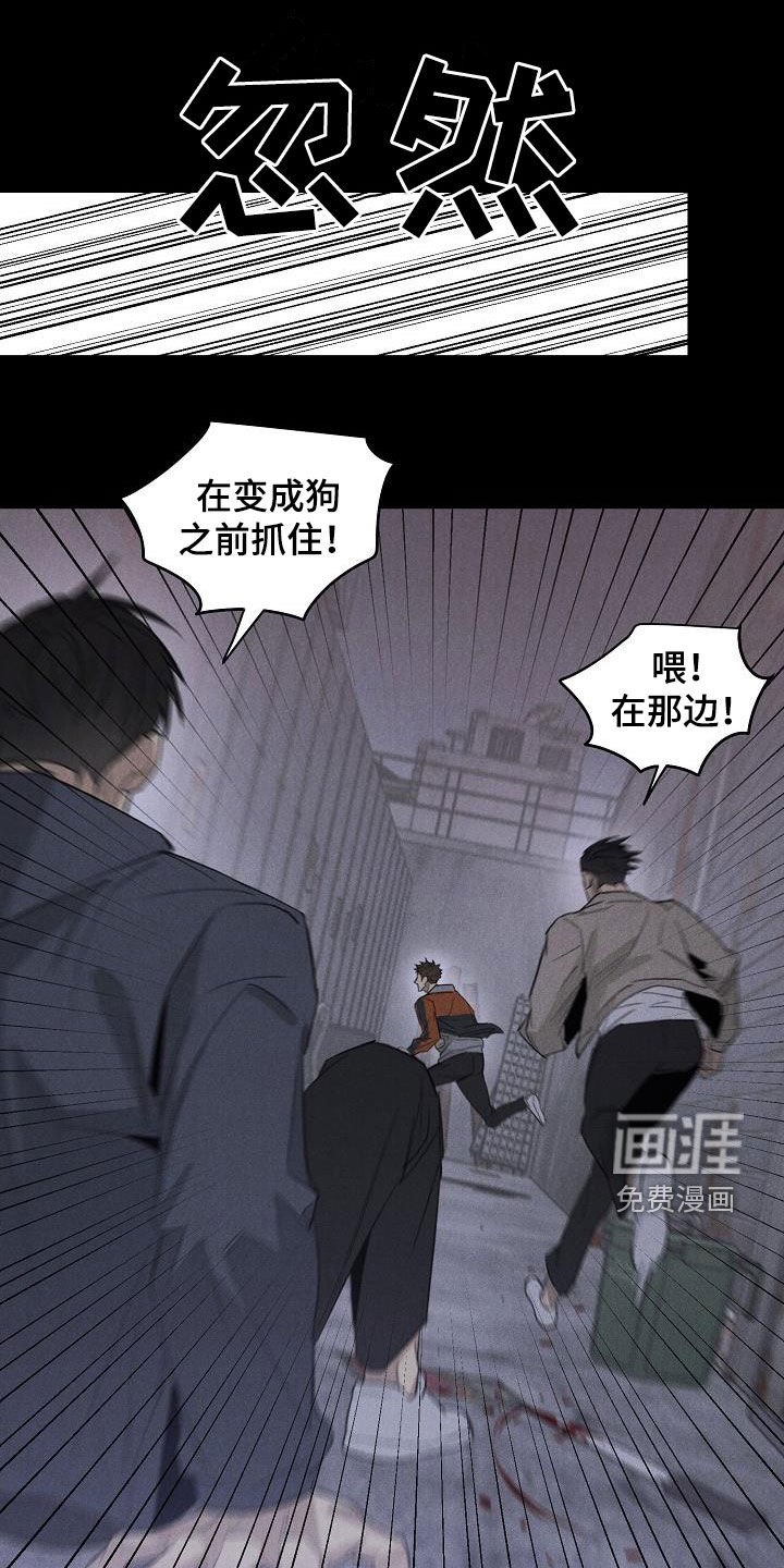 第15章：相片