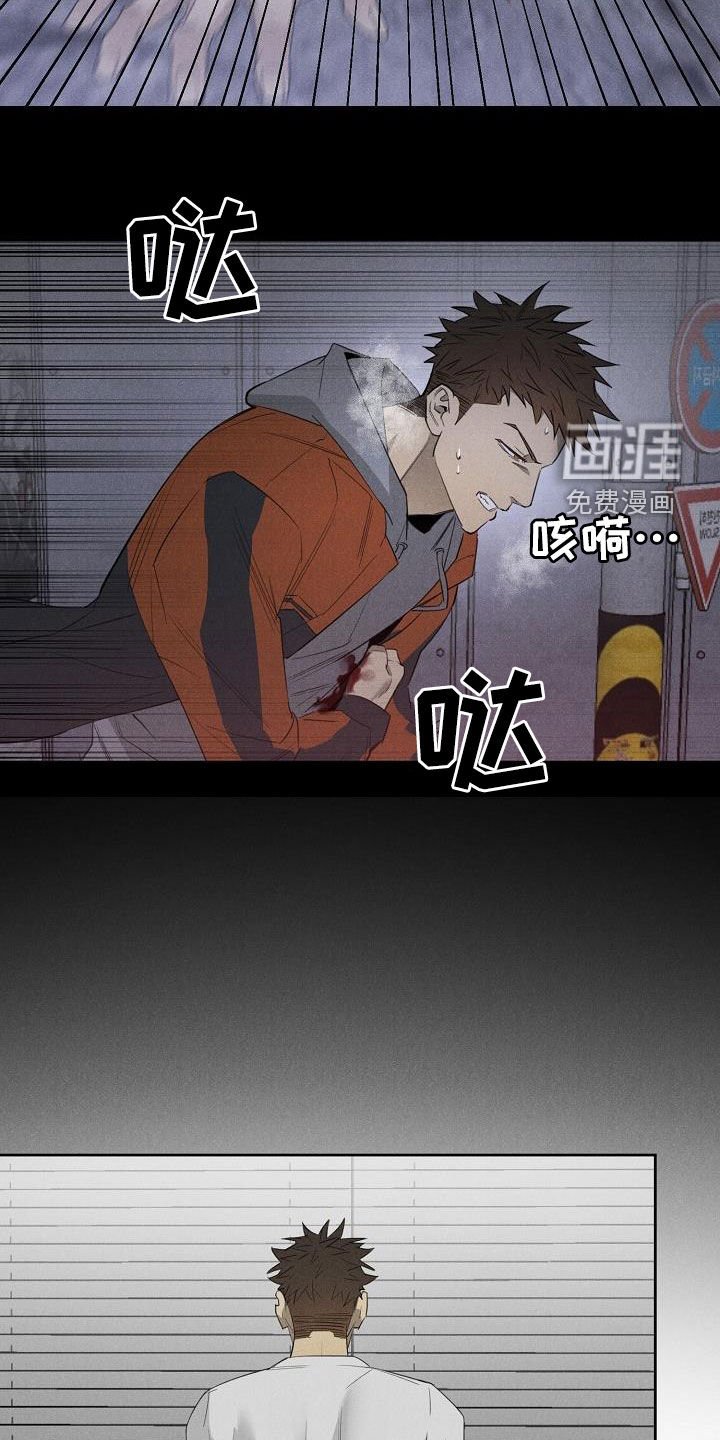 第15章：相片