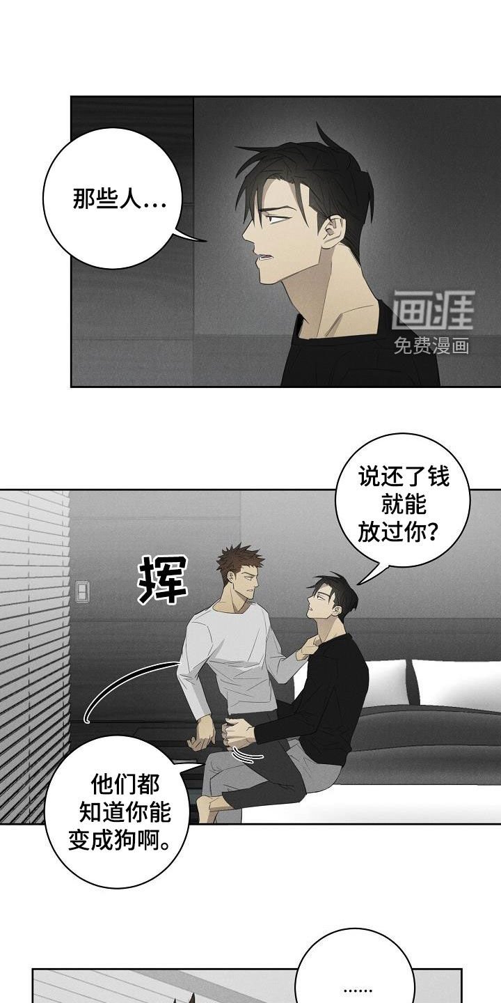 第15章：相片