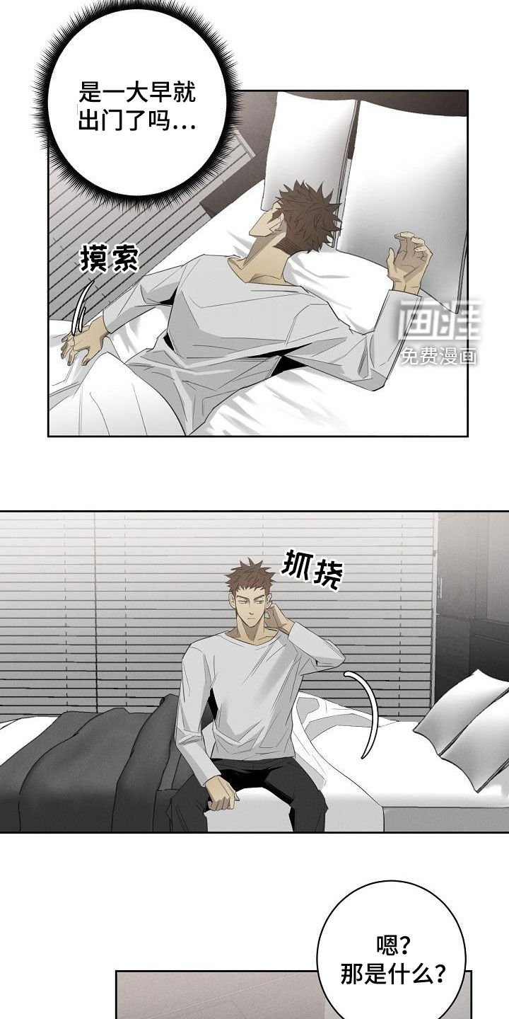 第15章：相片