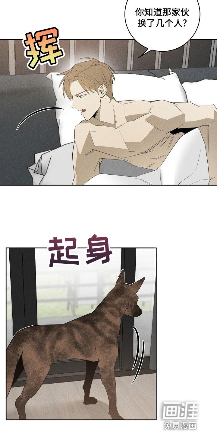第18章：躲不开