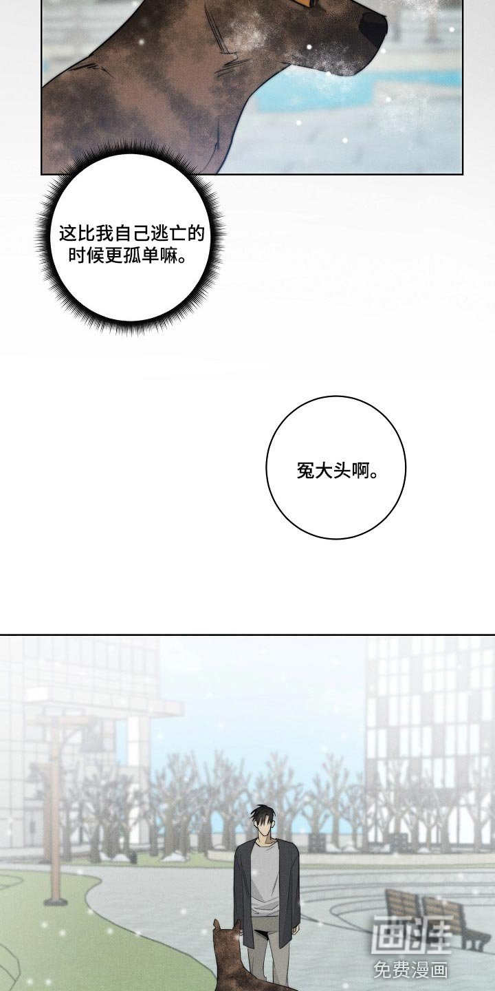 第20章：更孤单