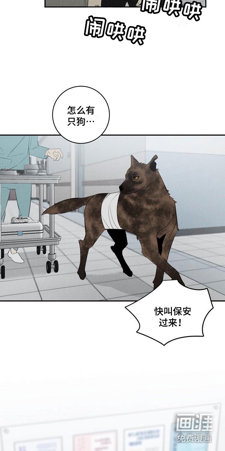 第4章：不见了