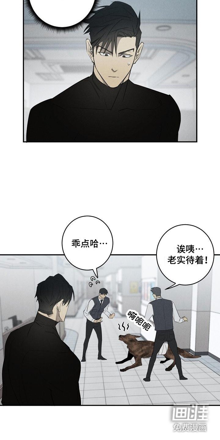 第4章：不见了