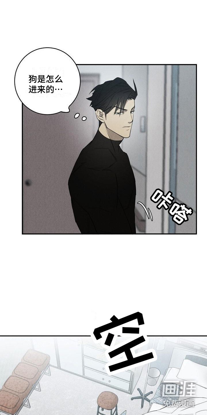 第4章：不见了