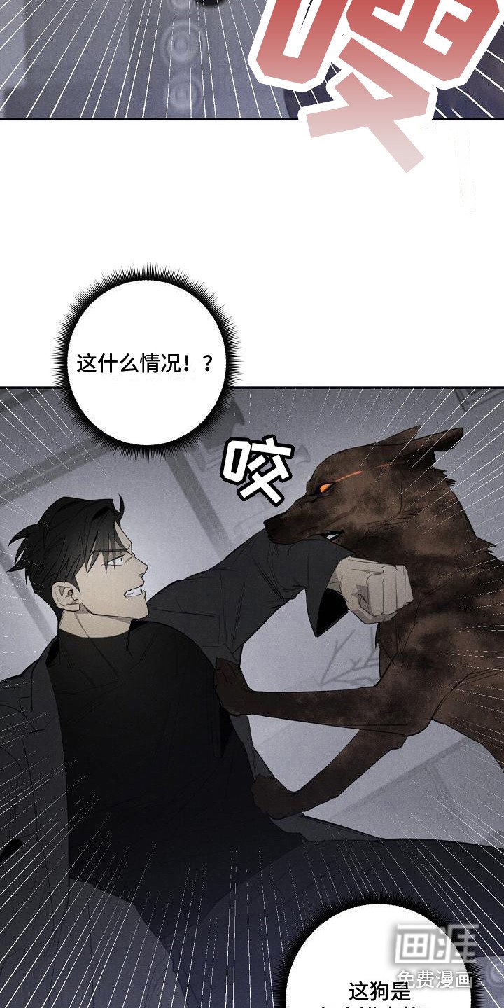 第5章：变身