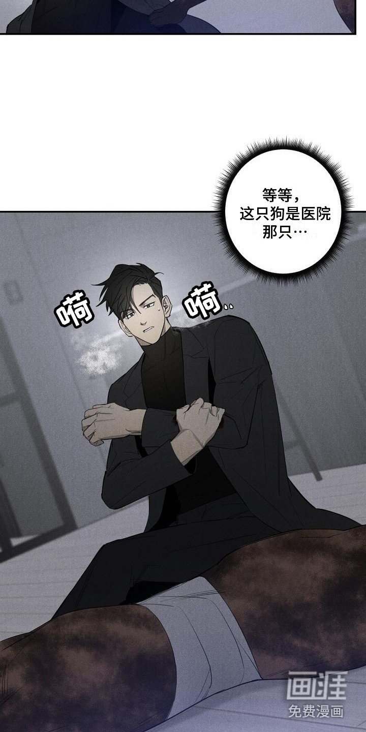 第5章：变身