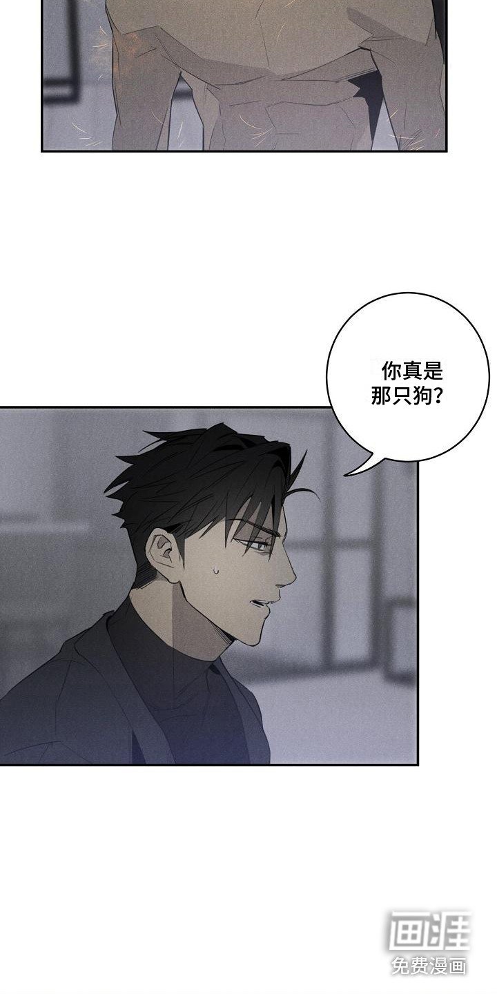 第5章：变身