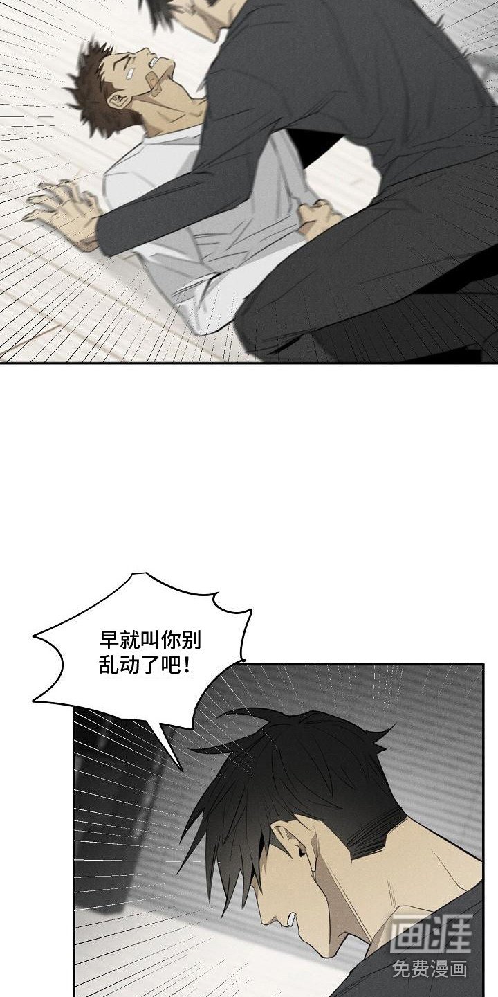 第6章：宠物医院