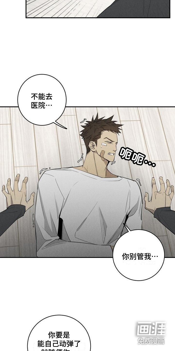 第6章：宠物医院
