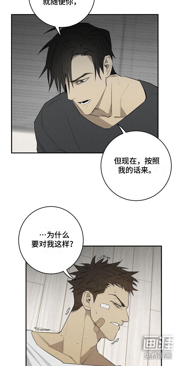 第6章：宠物医院
