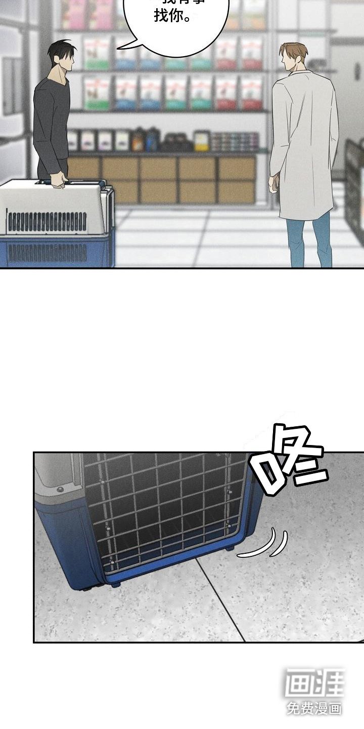 第6章：宠物医院