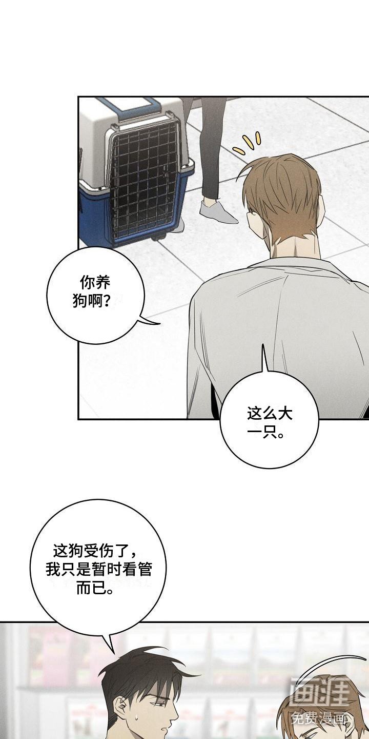 第6章：宠物医院
