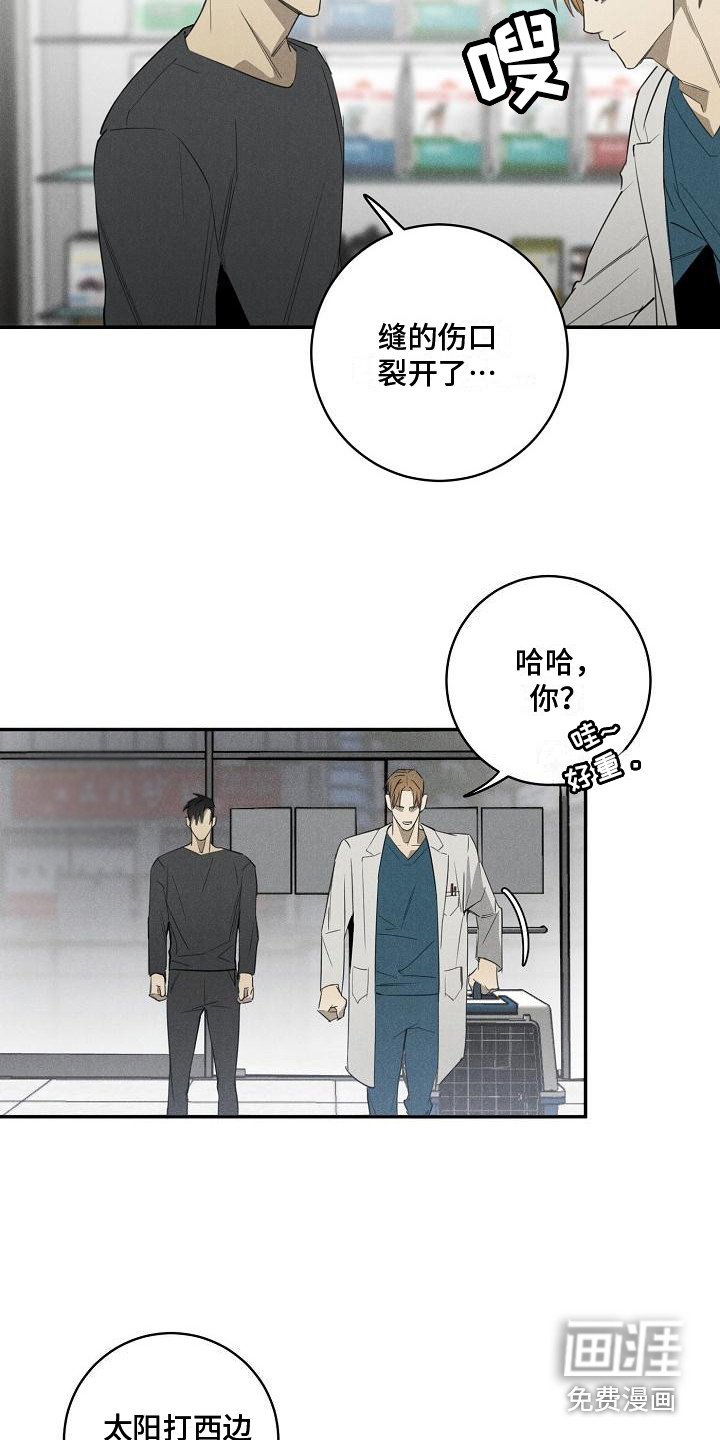 第6章：宠物医院