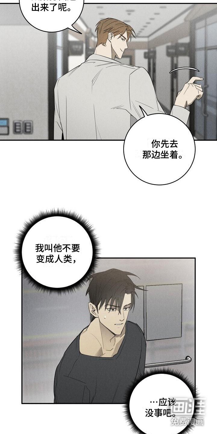 第6章：宠物医院