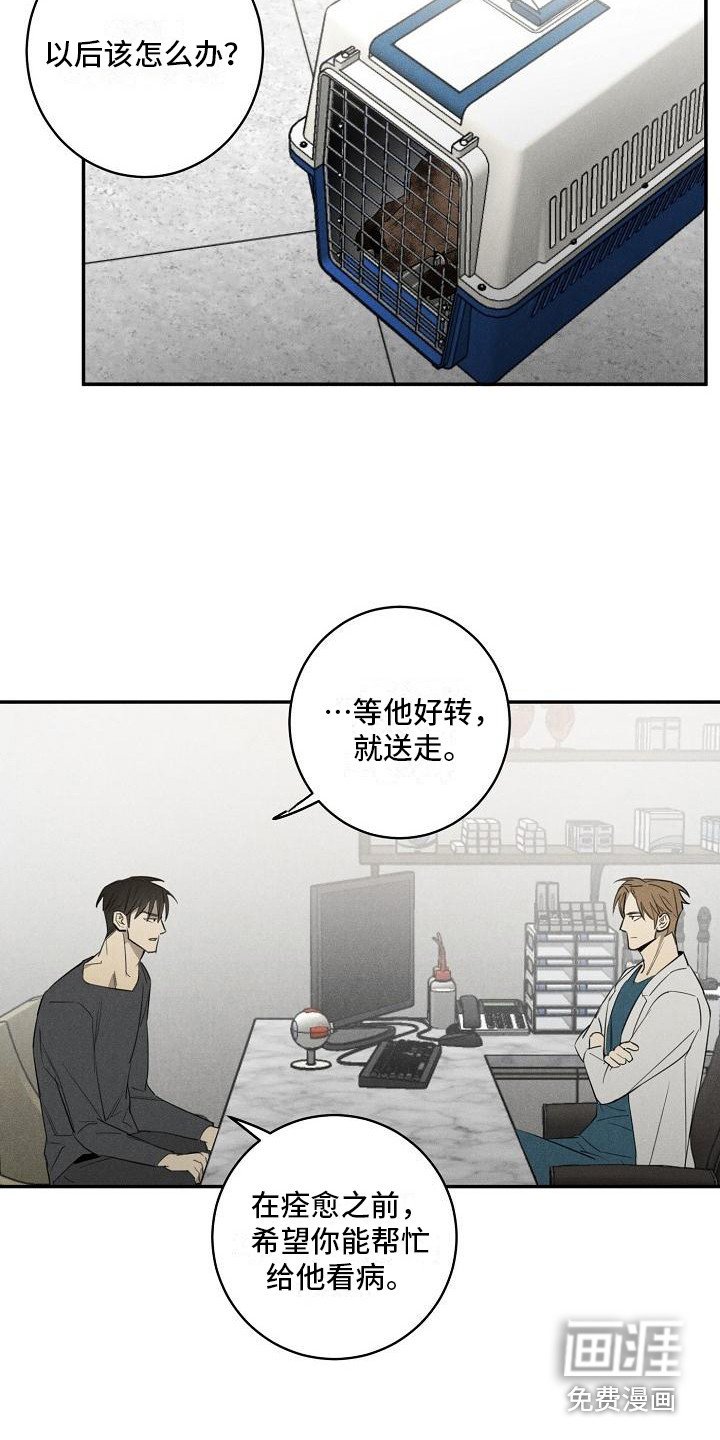 第7章：换药