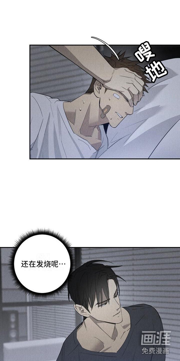 第7章：换药