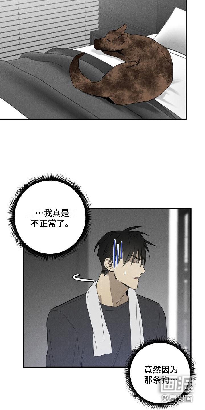 第8章：不正常