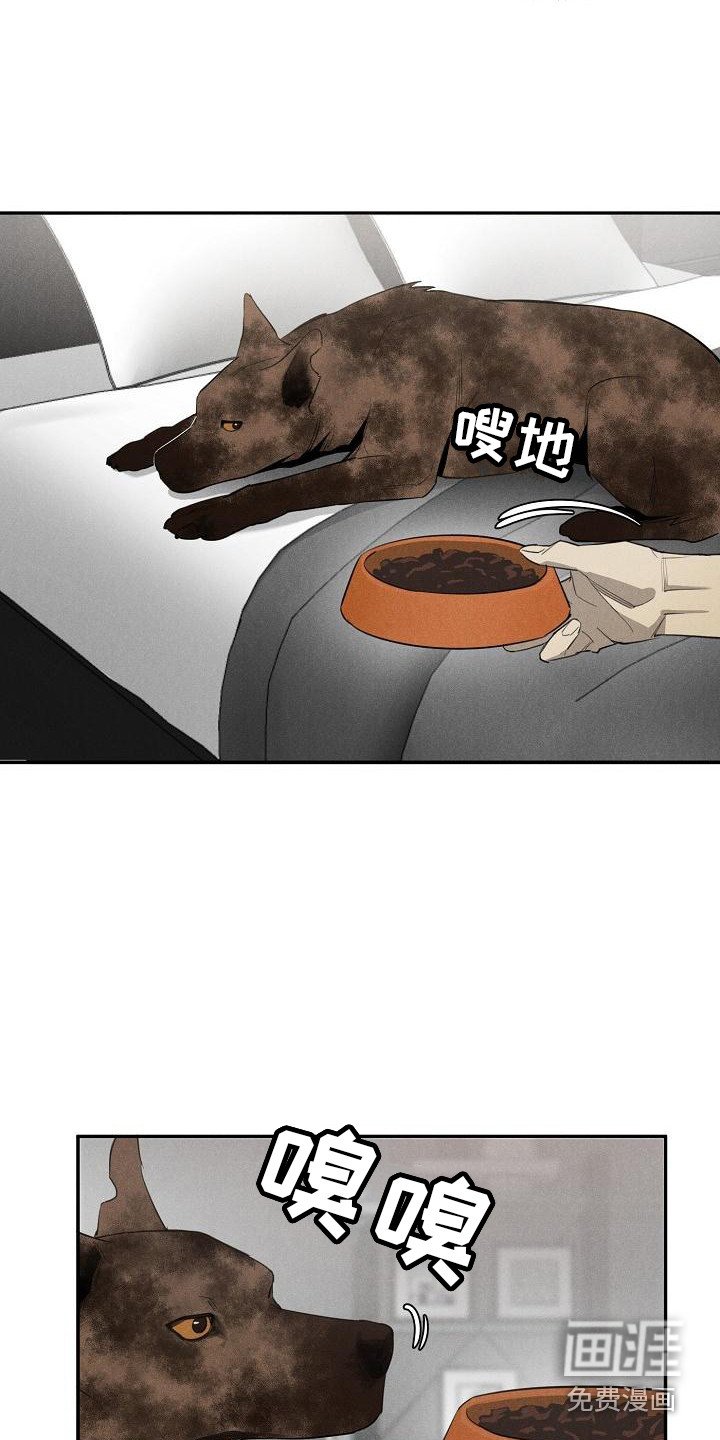 第8章：不正常