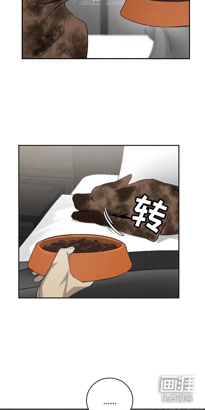第8章：不正常