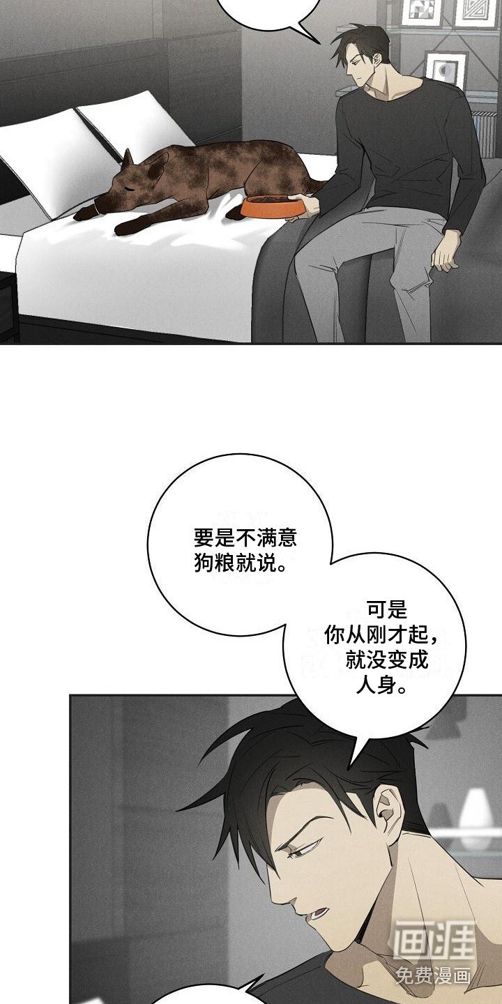第8章：不正常