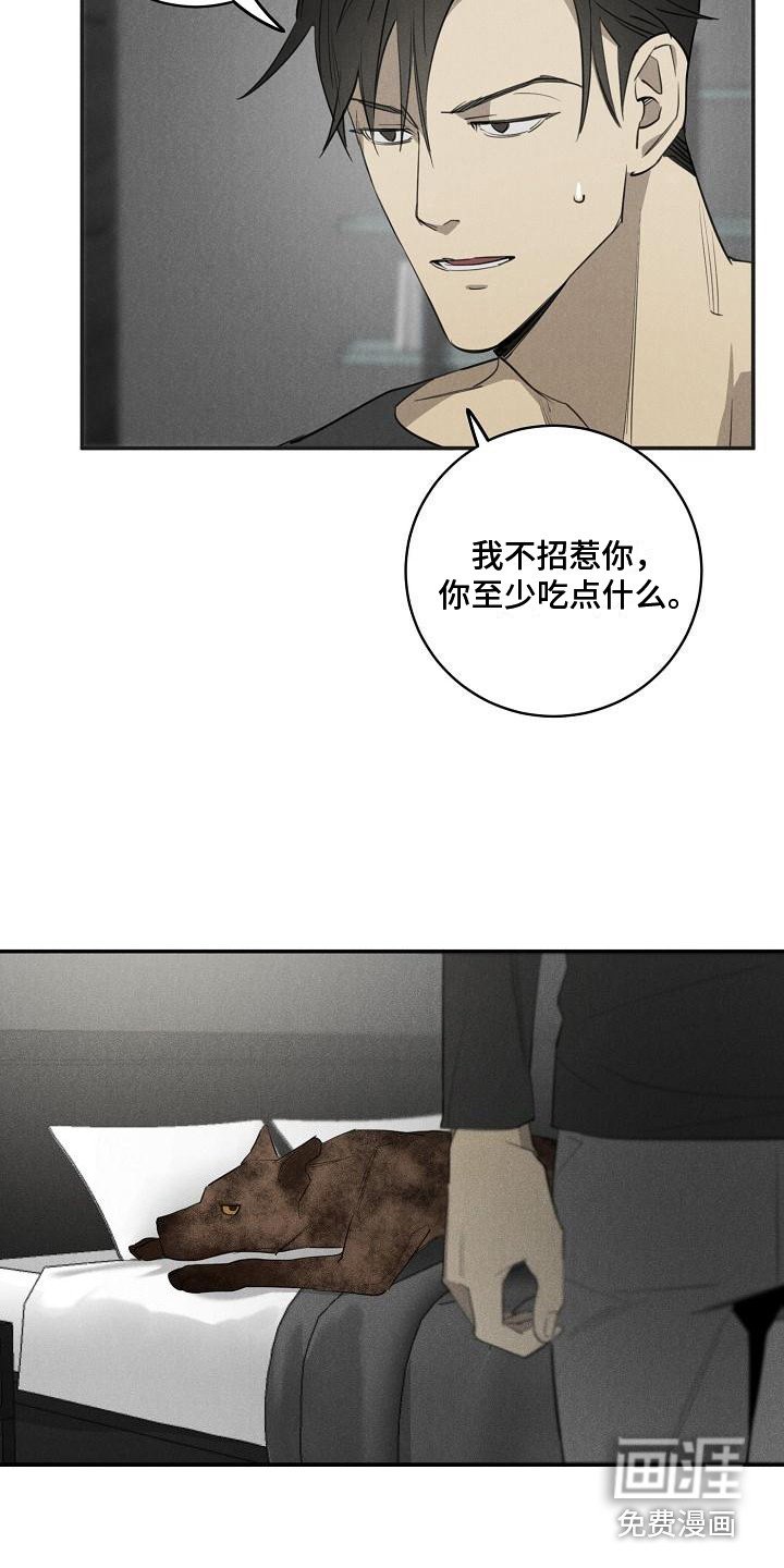 第8章：不正常