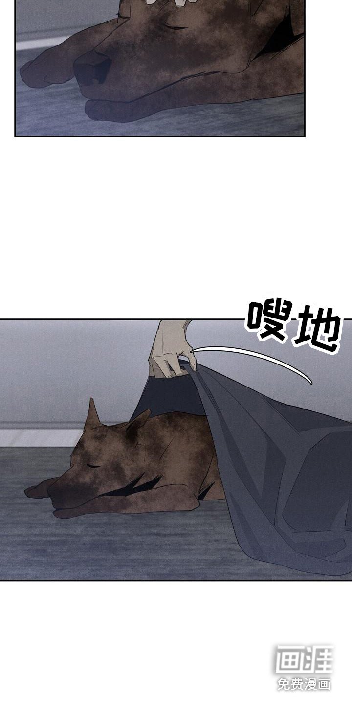 第9章：问题