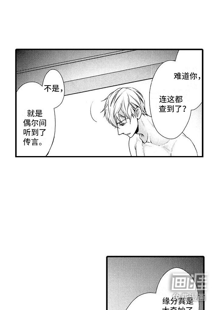 第15章：联手