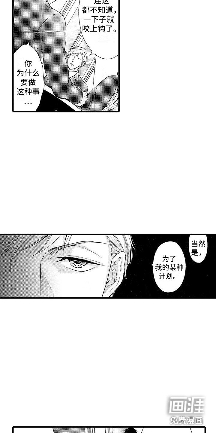 第23章：选择