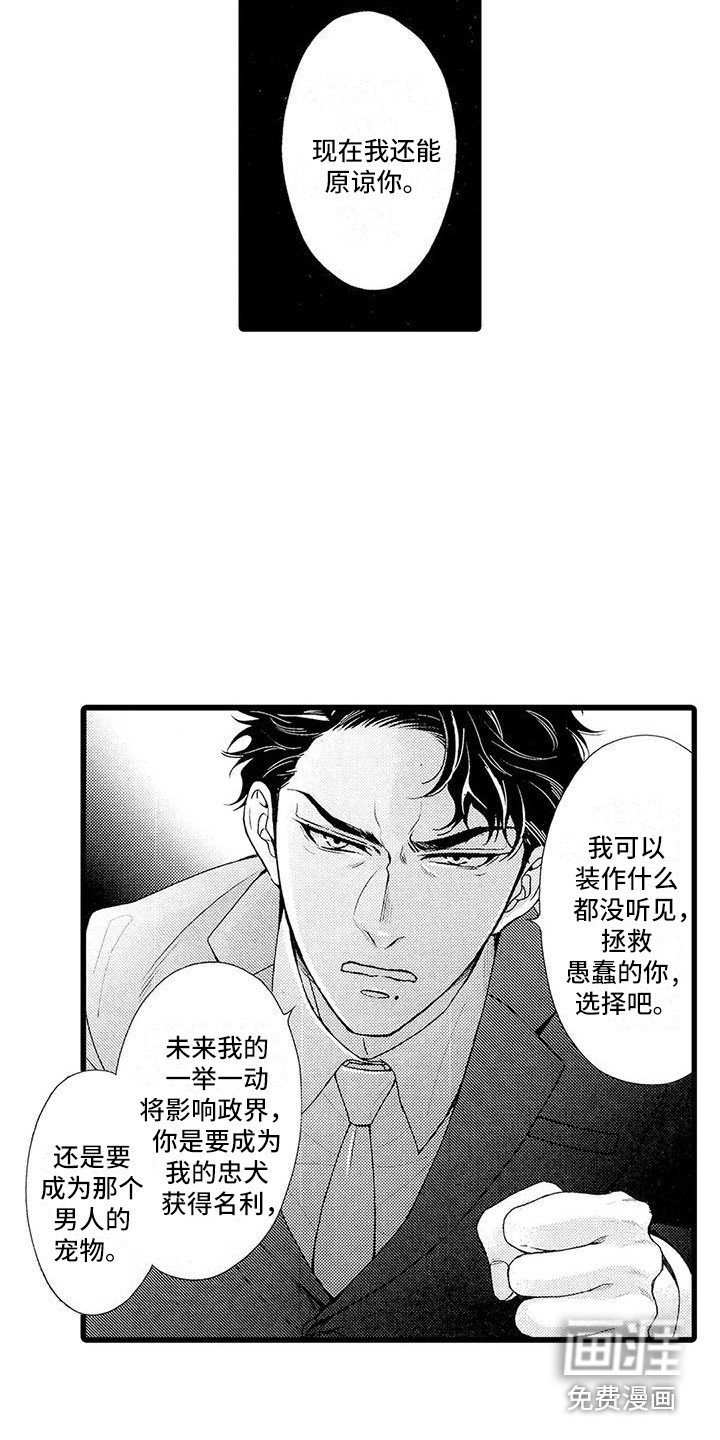 第23章：选择