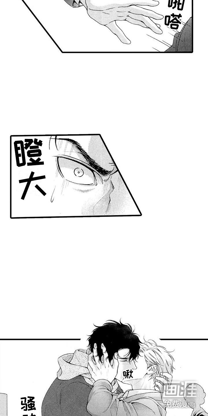 第23章：选择