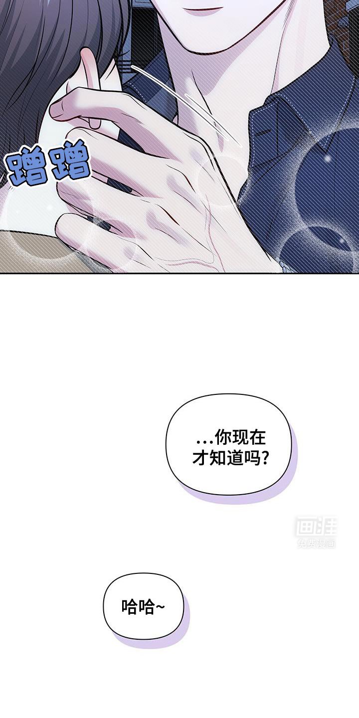 第56章：怎么喜欢上你的（第一季完结）