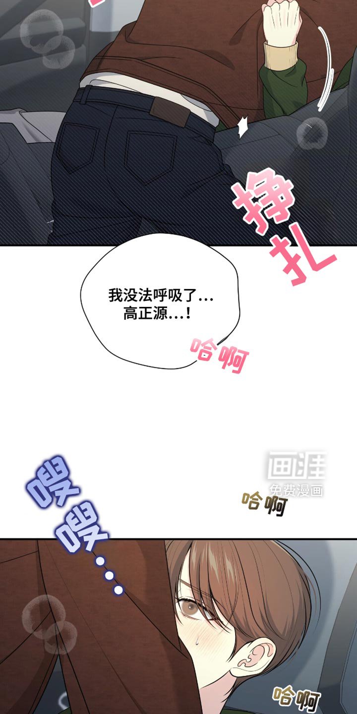 第81章：【第二季】真的太漂亮了