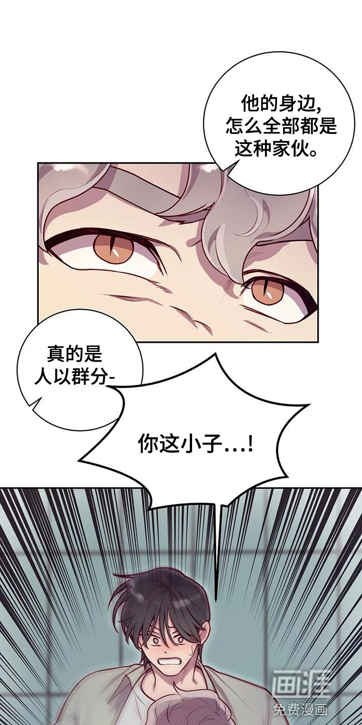 第26章：人以群分