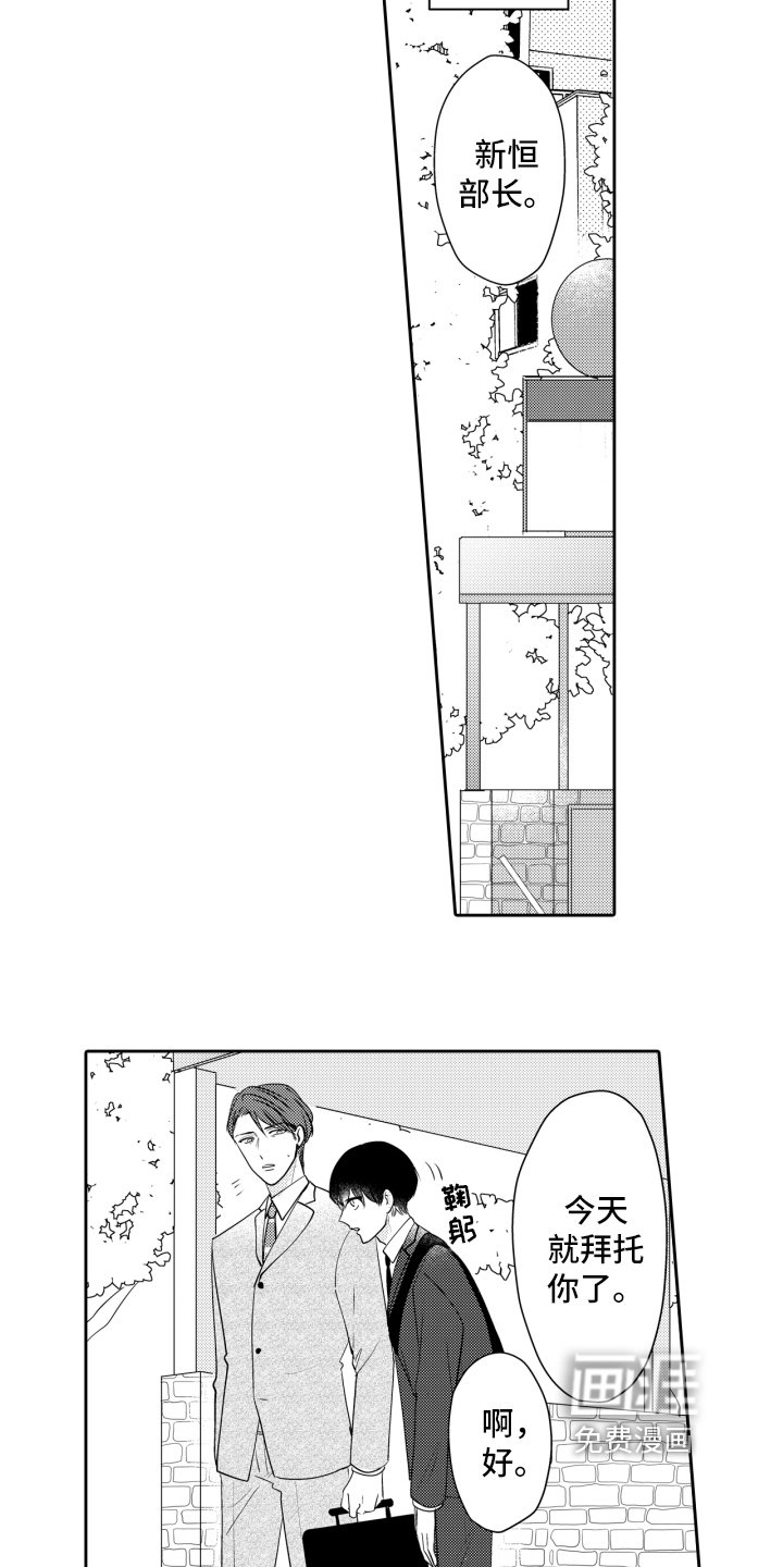 第13章：表白