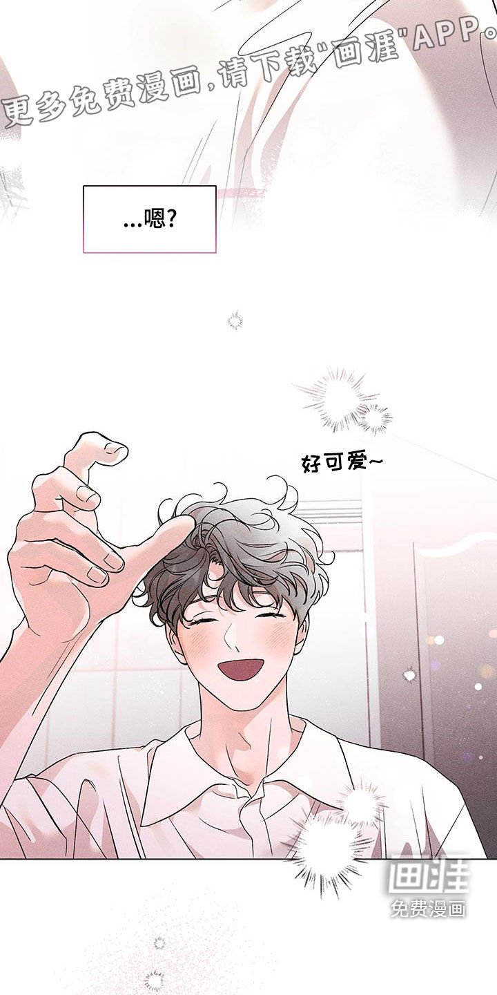 第19章：发型