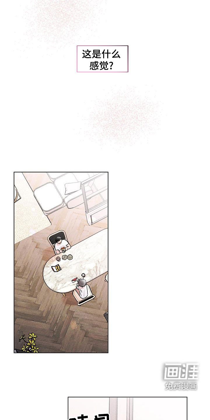 第19章：发型