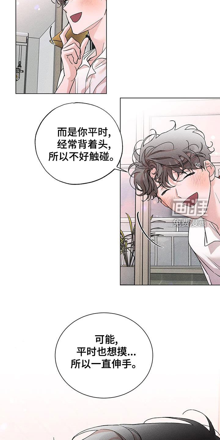 第19章：发型