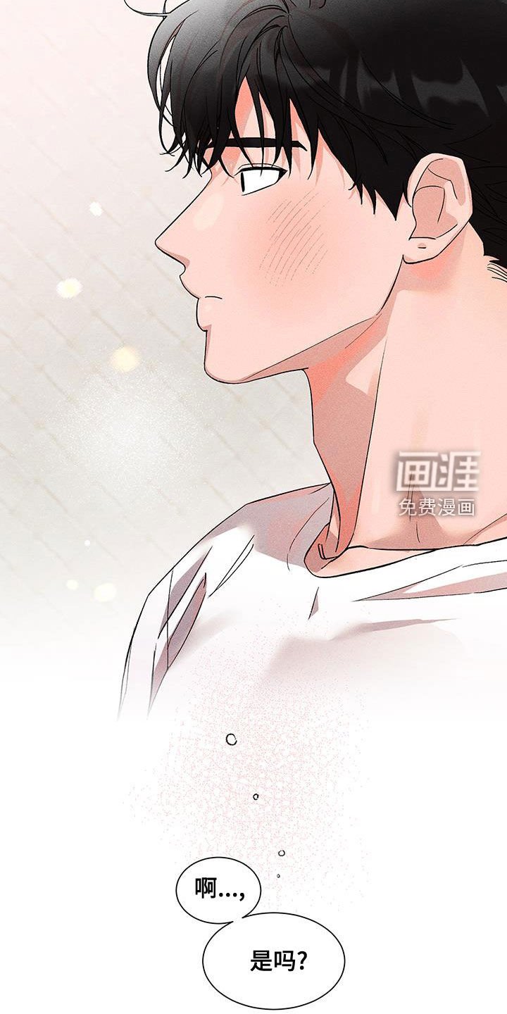 第19章：发型