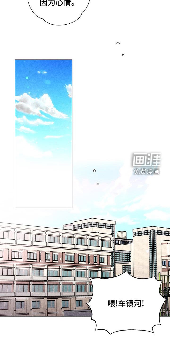 第19章：发型