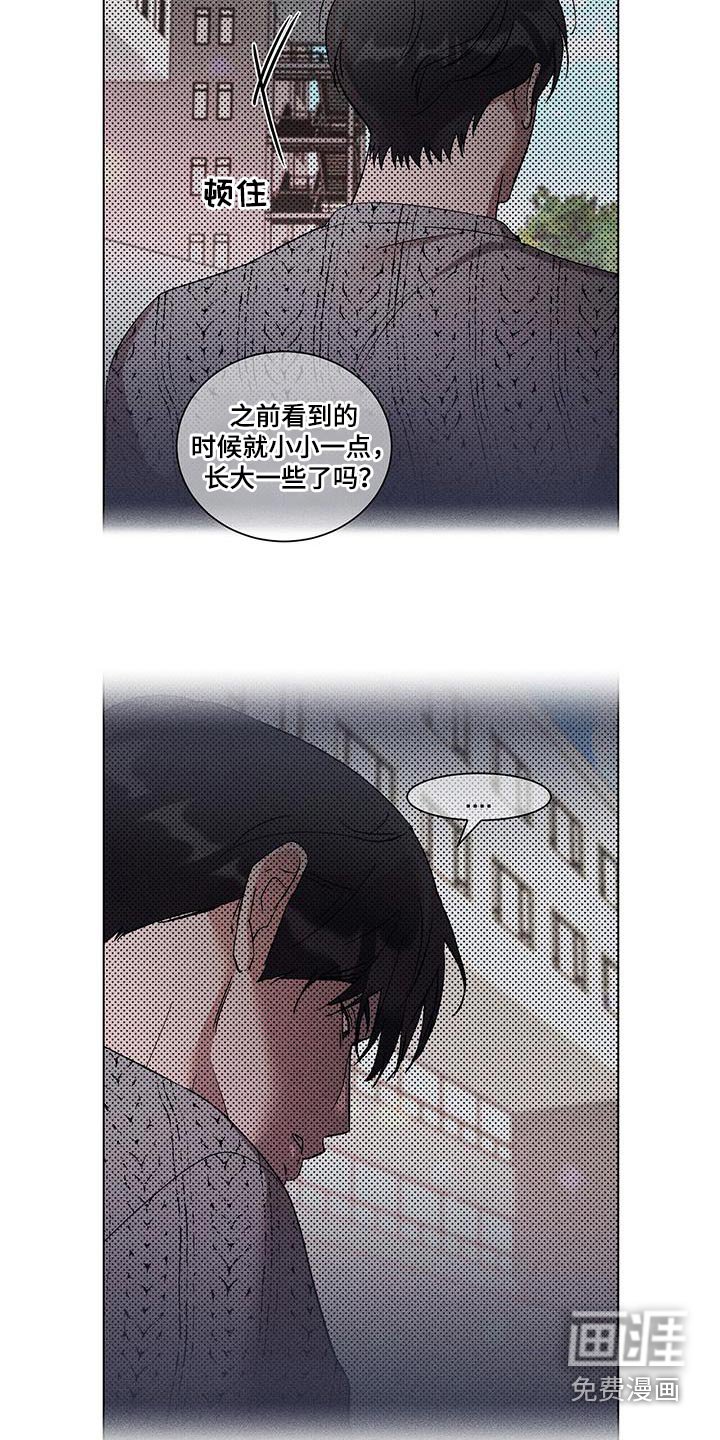 第43章：联系