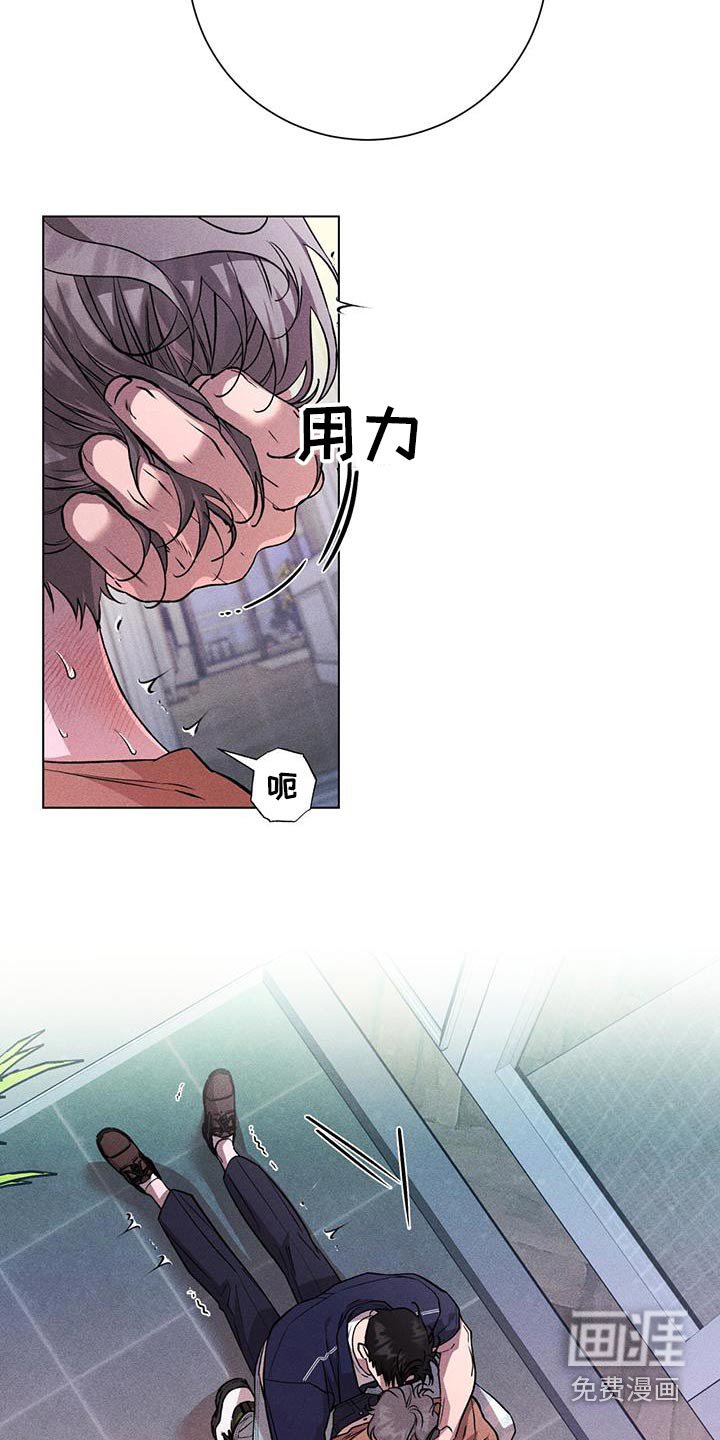第50章：期待什么