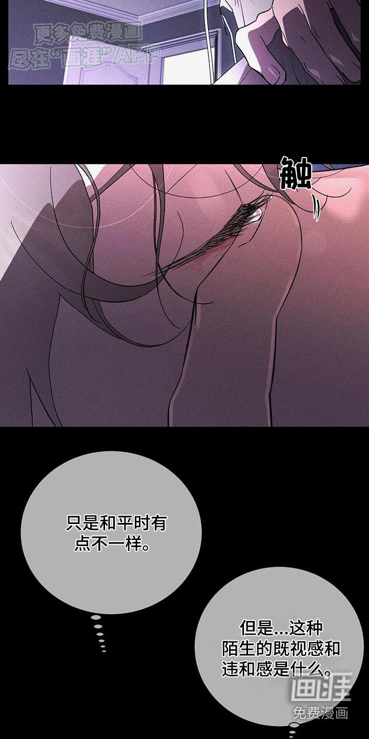 第81章：解释一下